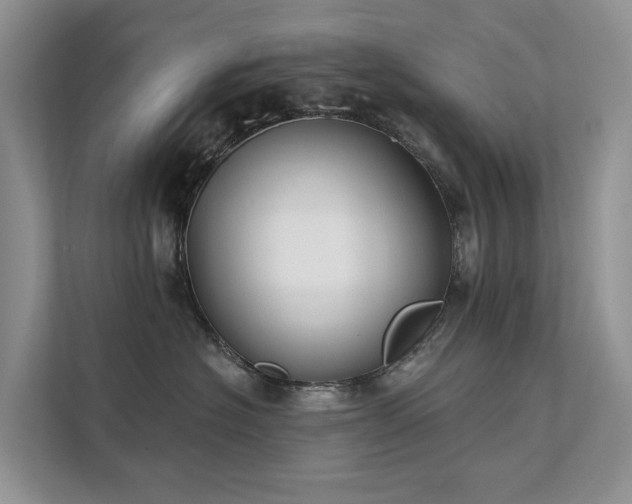X0000111610574200907171226