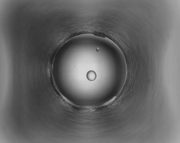 X0000111610576200907171226