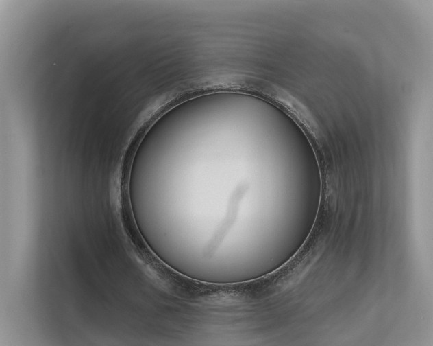 X0000111610578200907171226
