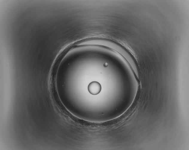 X0000111610579200907171226
