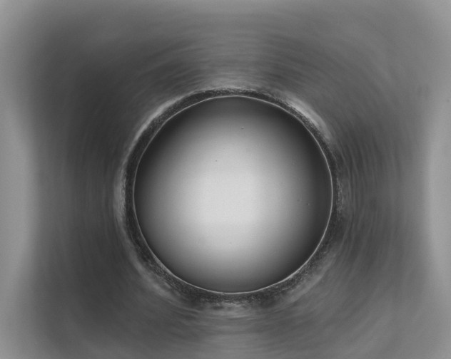 X0000111610580200907171226