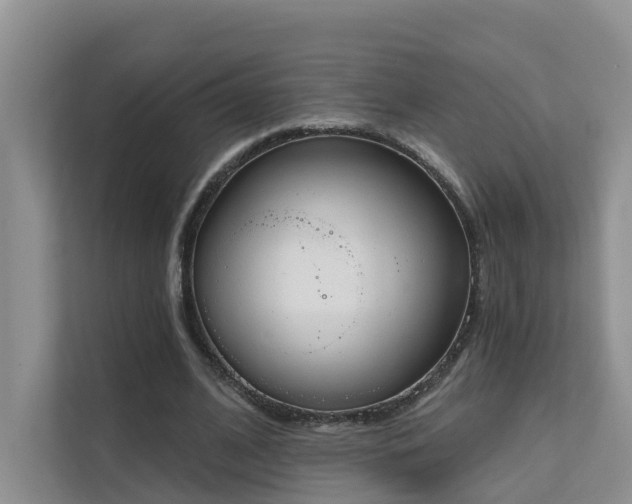 X0000111610584200907171226