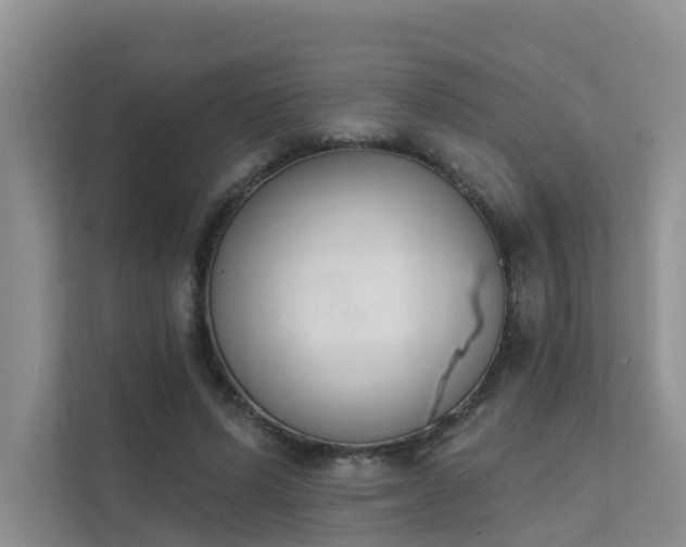 X0000111610591200907171225