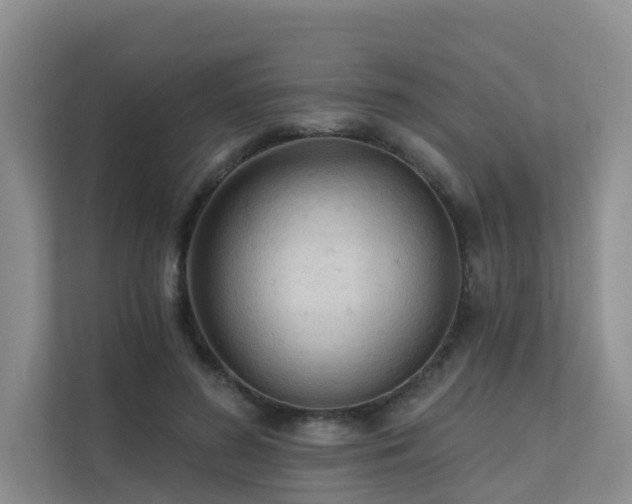 X0000111610596200907171225