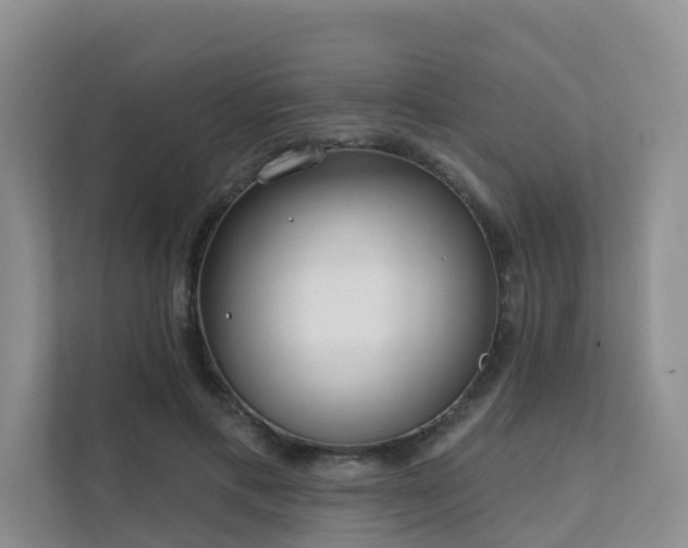 X0000111610597200907171225
