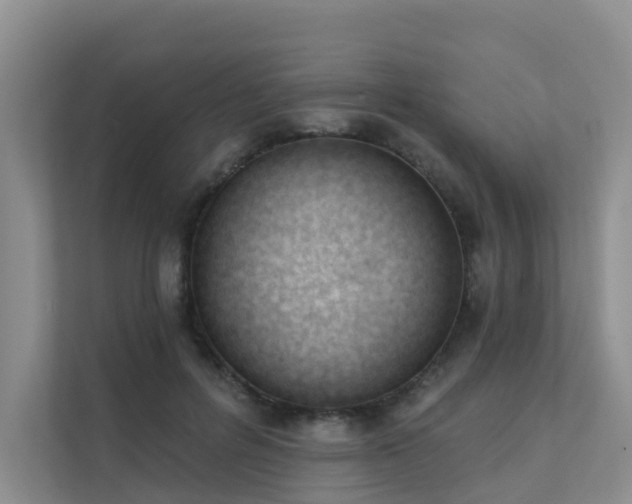 X0000111610600200907171225