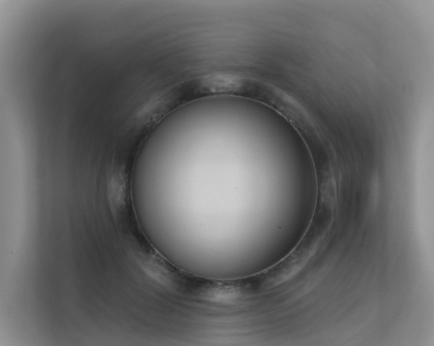X0000111610604200907171225