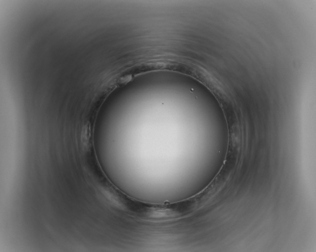 X0000111610605200907171225