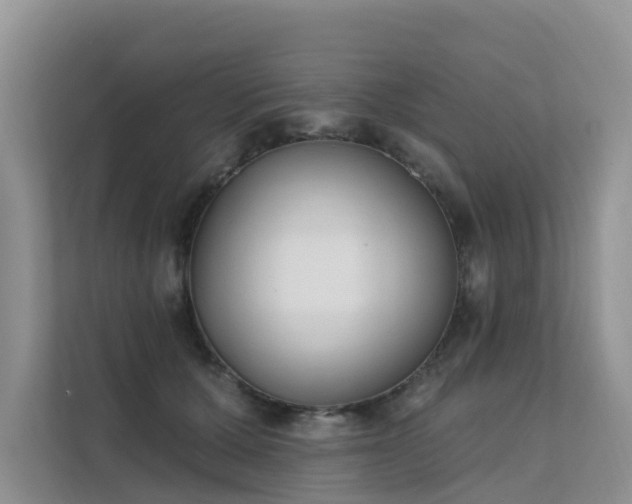 X0000111610607200907171225