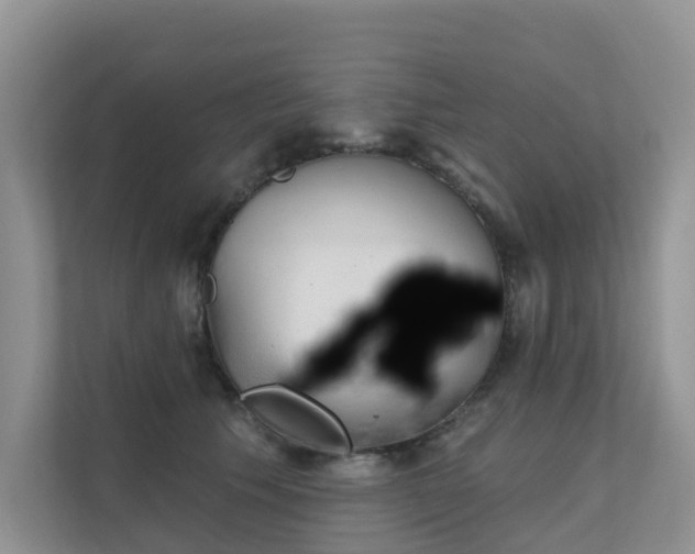 X0000111610609200907171225