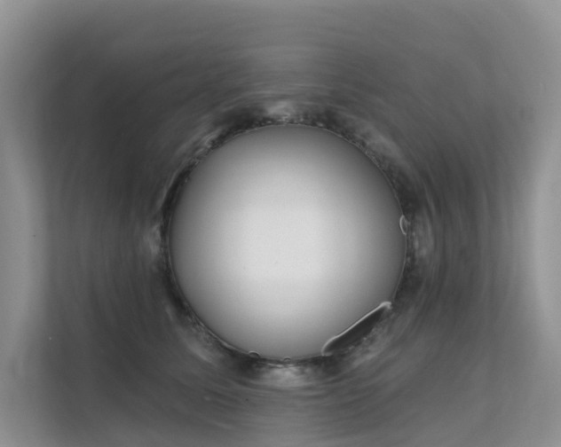 X0000111610611200907171225