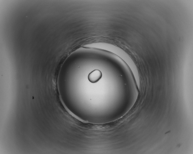 X0000111610613200907171225