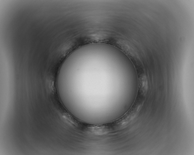 X0000111610615200907171225