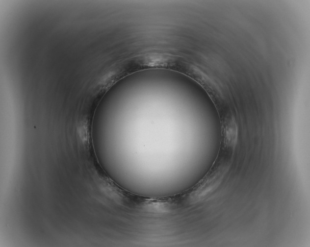 X0000111610620200907171225