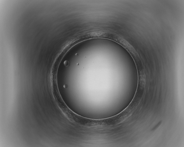 X0000111610626200907171224