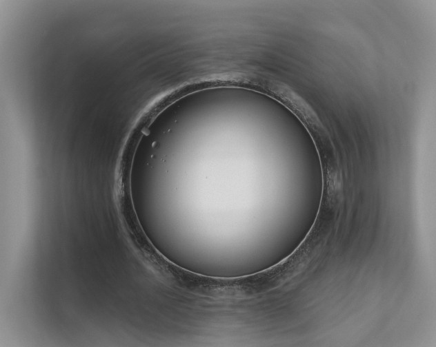 X0000111610628200907171224