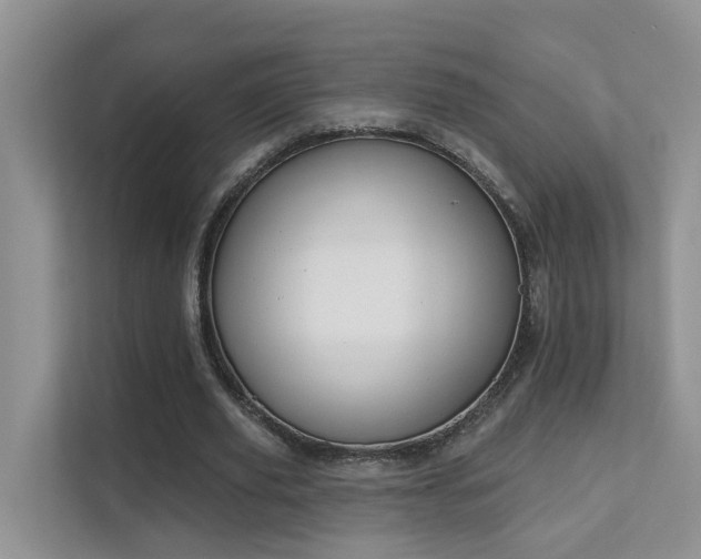 X0000111610629200907171224