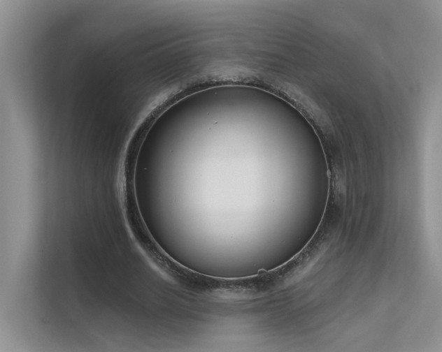 X0000111610630200907171224