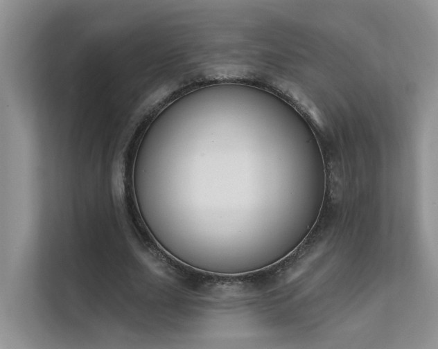 X0000111610631200907171224