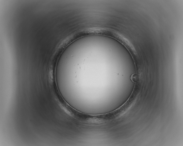 X0000111610633200907171224
