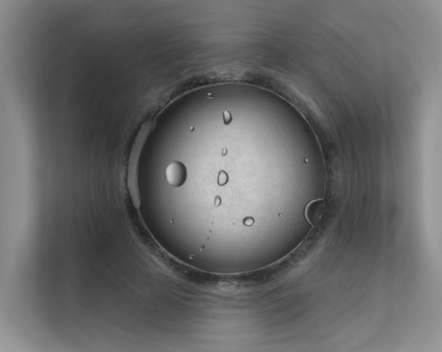 X0000111610641200907171225