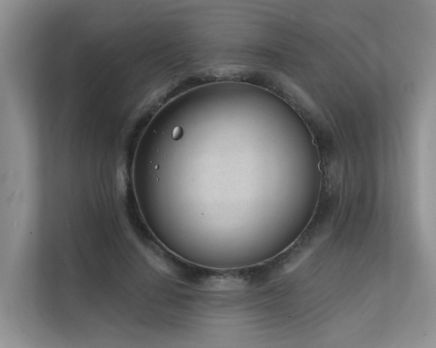 X0000111610644200907171225