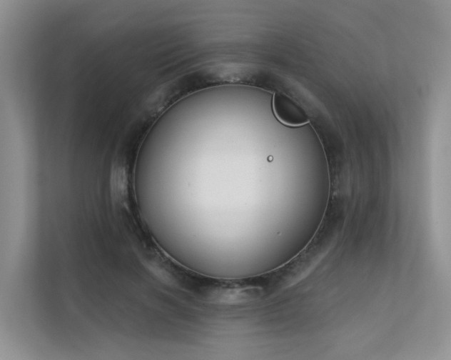 X0000111610646200907171225