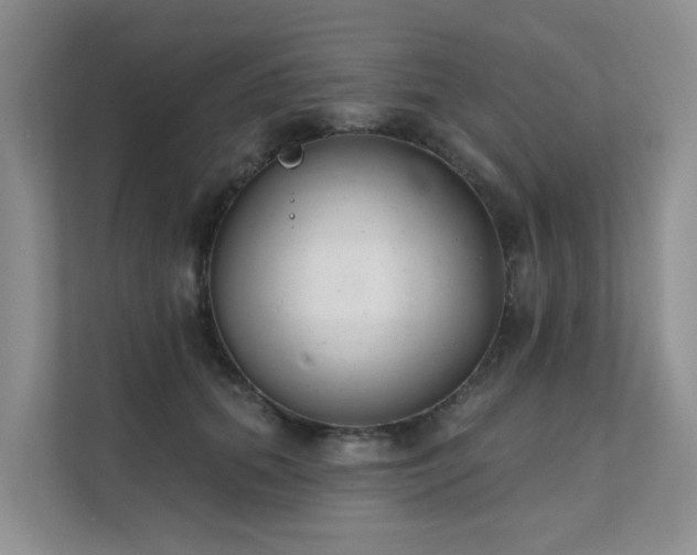 X0000111610655200907171225