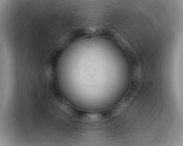 X0000111610659200907171225