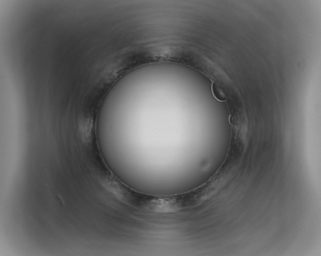 X0000111610660200907171225