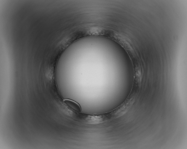 X0000111610665200907171225