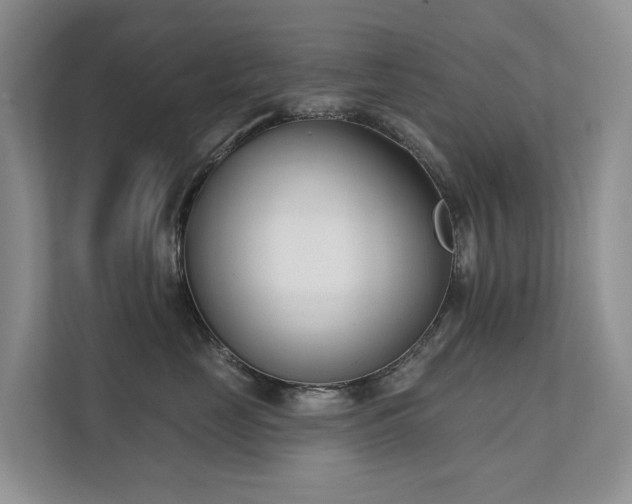 X0000111610669200907171225