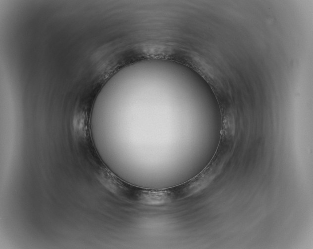 X0000111610671200907171225