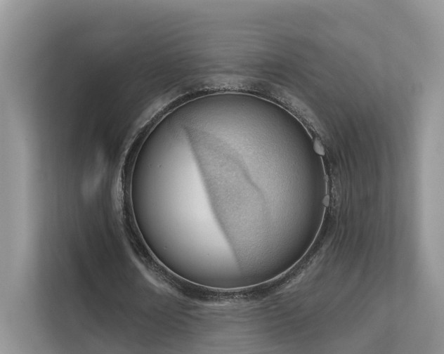 X0000111610674200907171224