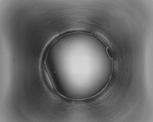 X0000111610676200907171224