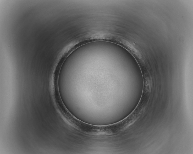 X0000111610678200907171224