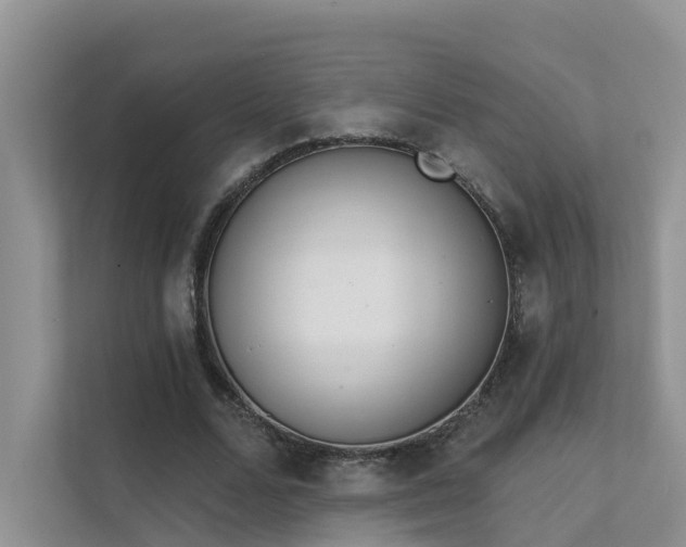 X0000111610680200907171224