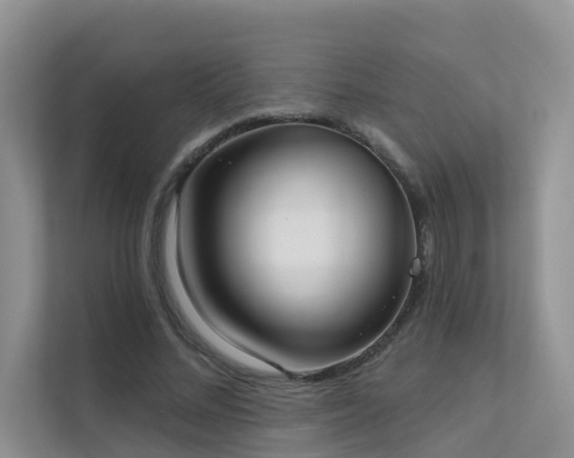 X0000111610684200907171224