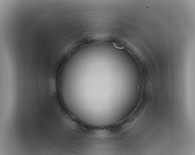 X0000111610689200907171224