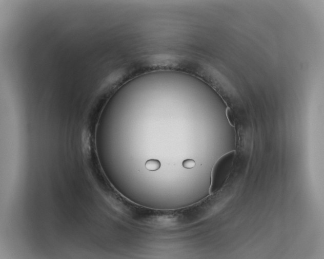 X0000111610692200907171224