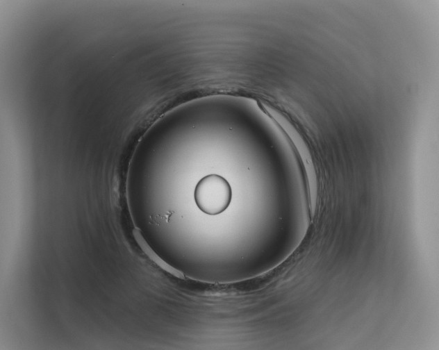 X0000111610693200907171224