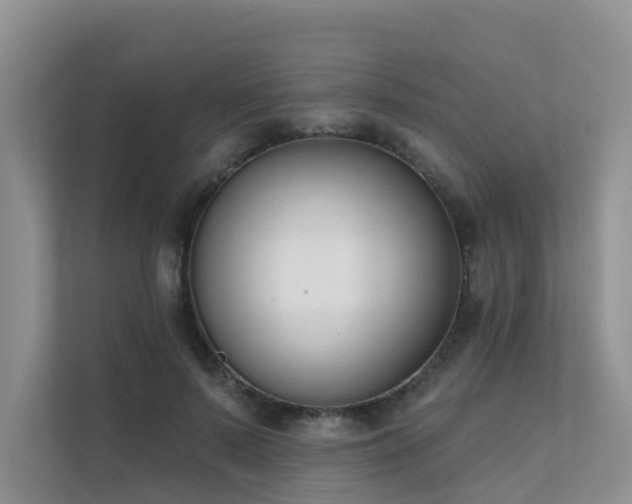 X0000111610695200907171224