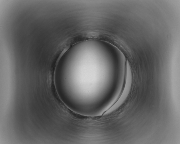 X0000111610697200907171224