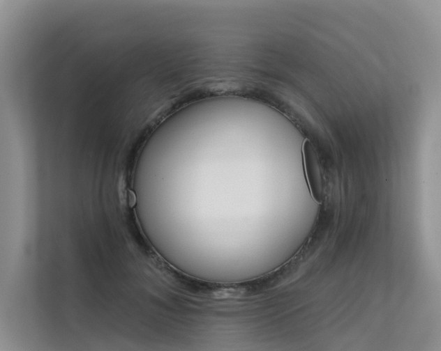 X0000111610700200907171224