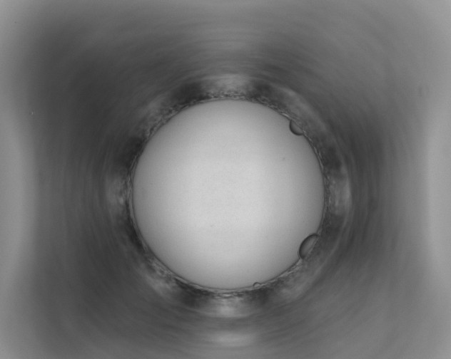 X0000111610701200907171224