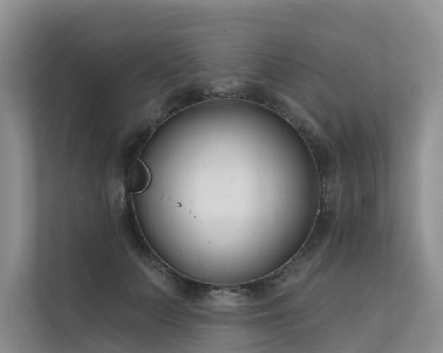 X0000111610703200907171224