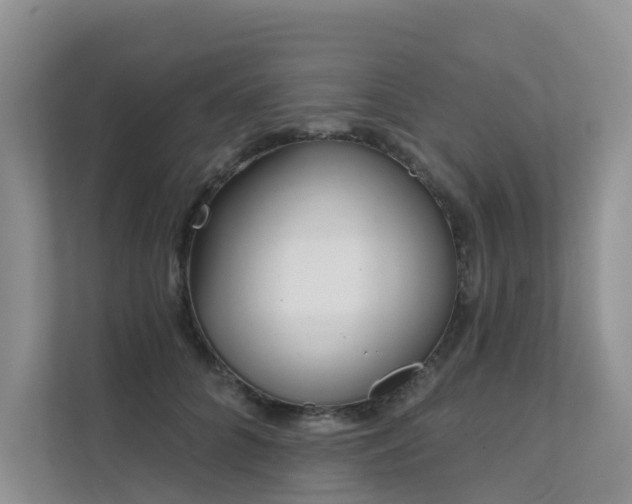 X0000111610704200907171224