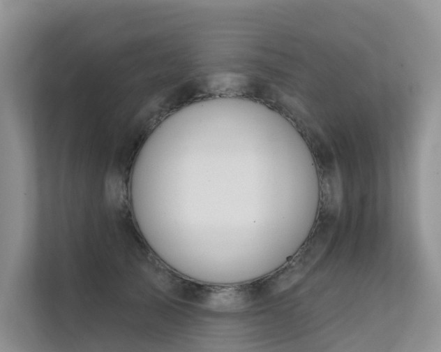 X0000111610705200907171224