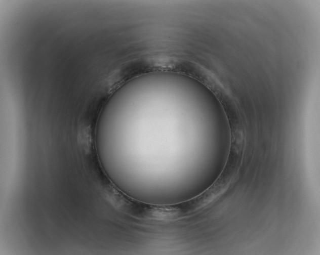 X0000111610707200907171224