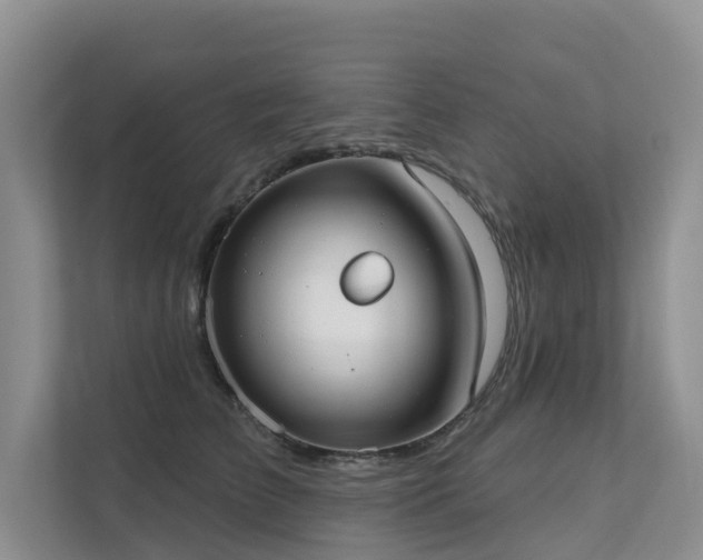 X0000111610709200907171224